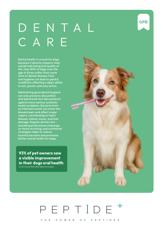 Preview of the Peptide Dental dog food recipe guide