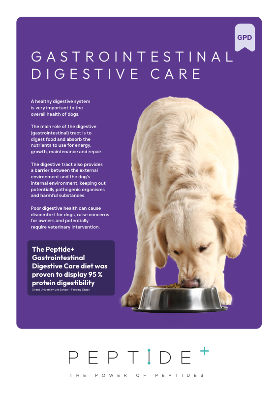 Preview of the Peptide Gastro dog food recipe guide