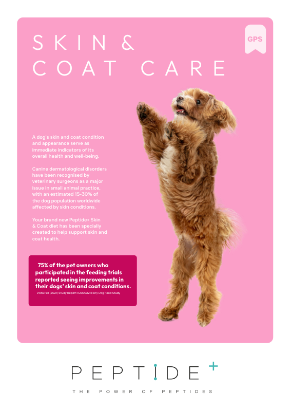 Preview of the Peptide Skin and Coat care dog food recipe guide