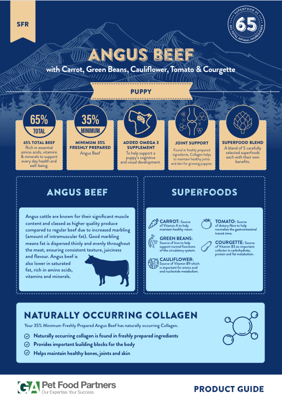 Preview of the Superfood 65 Puppy beef dog food recipe guide